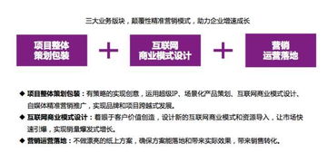 掌握市場營銷與經(jīng)濟貿(mào)易咨詢 雙軌并進的專業(yè)發(fā)展指南